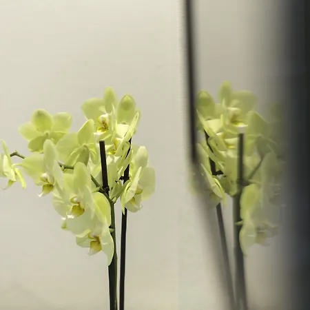 Western Arthotel 3* Le Havre